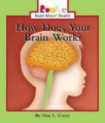 how-does-your-brain-work